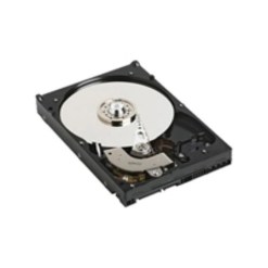 DELL NearLine internal hard drive 3 TB 7200 RPM SAS