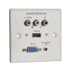 Lindy AV Faceplate, Plastic