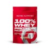 SciTec 100% Whey Protein Professional, Vanilla - 1000 grams