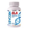 Evogen CLA, 1000mg - 90 softgels