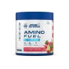 Applied Nutrition Amino Fuel, Raspberry Mojito - 91 grams (7 servings)