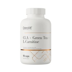 OstroVit CLA + Green Tea + L-Carnitine - 90 caps