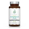 Cytoplan Acidophilus Plus - 60 vcaps